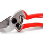 Forbice Castellari  MINI