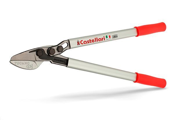 0000281_troncarami-castellari-potatore