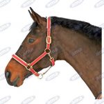 Capezza Top quality per Pony - AMA