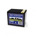 Batteria alkalina per recinti 9 Volt 175 Ah