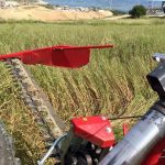 Falciatrice dente - lama BFS 270 H