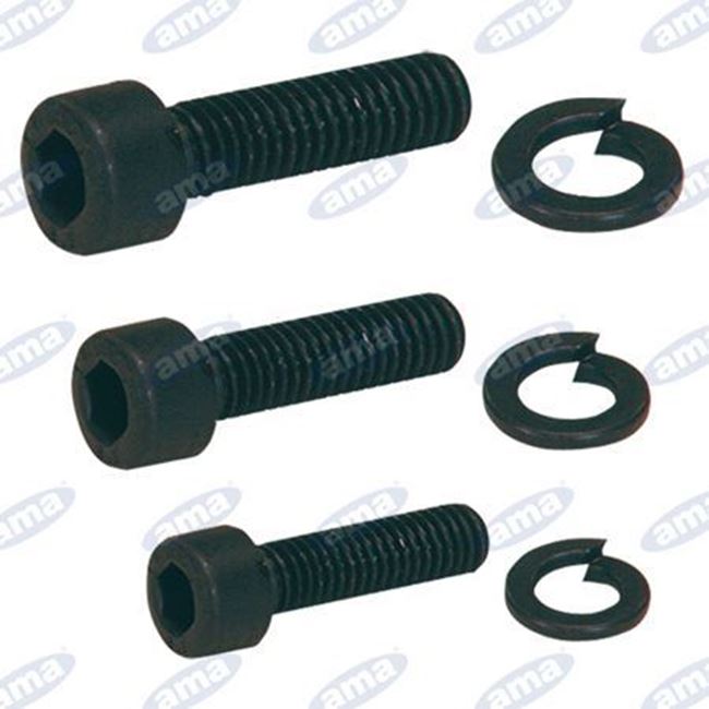 0005642_viti-fissaggio-flange-38-16x30-ama_650.jpeg