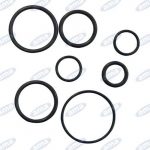 Kit guarnizioni per pompe a mano da 25 cc - AMA